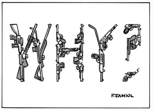 Why Guns